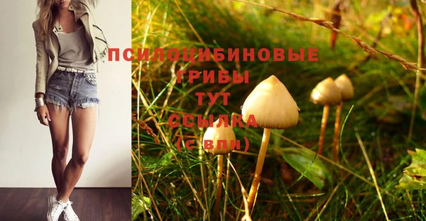 МДМА Медвежьегорск