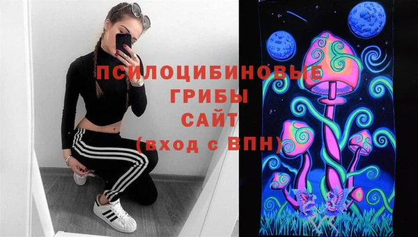 МДМА Медвежьегорск
