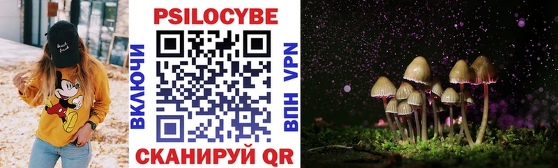 Галлюциногенные грибы GOLDEN TEACHER  Купить где  Можайск 